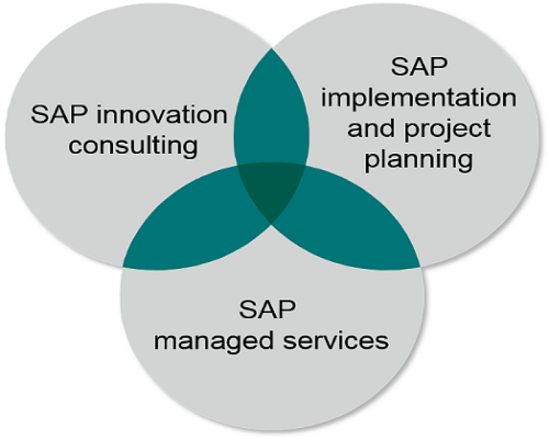 simplified-management-effectiveness-with-sap-implementation-feedsfloor